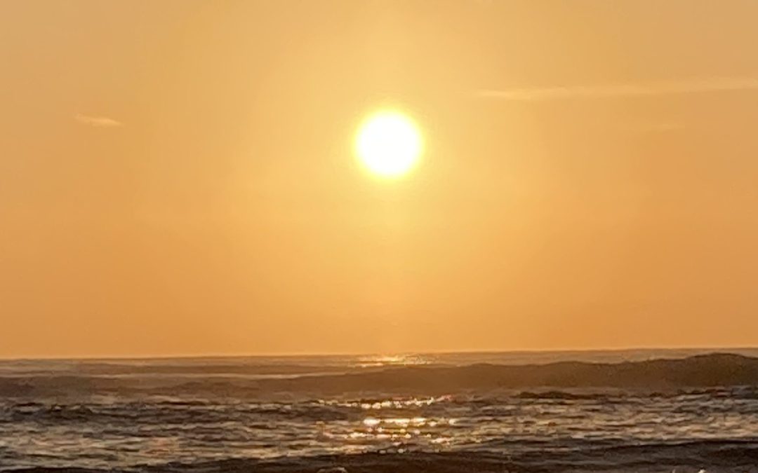 The Role of Vitamin D & Inflammation